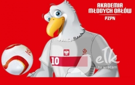 Zdjęcie: 0