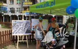 Zdjęcie: 31