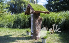 Zdjęcie: 4