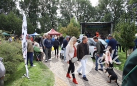 Zdjęcie: 31