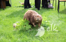 Zdjęcie: 3