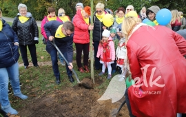 10 trees at the 10th anniversary of the University of the third century