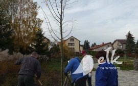 Zdjęcie: 1