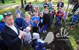 Planting trees in the Solidarity Park