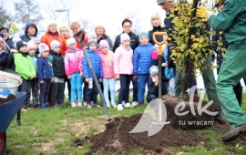 Planting trees on a new urban beach