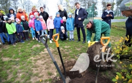 Zdjęcie: 2