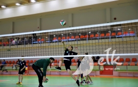Zdjęcie: 5