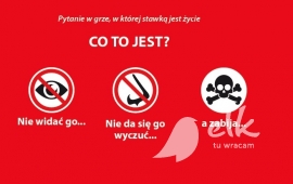 Zdjęcie: 0