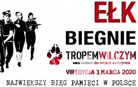 Zdjęcie: 0