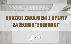 Zdjęcie: 0