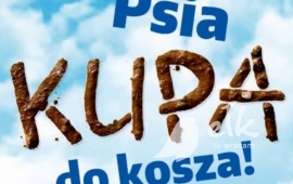 Zdjęcie: 0