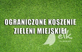Zdjęcie: 0