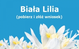 Zdjęcie: 0