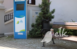 Zdjęcie: 1