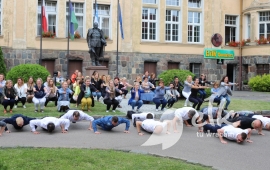 Zdjęcie: 0
