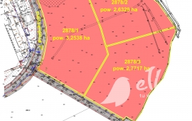 Ogłoszenie o pierwszym przetargu pisemnym nieograniczonym na sprzedaż nieruchomości gruntowych niezabudowanych nr: 2878/1, 2878/2, 2878/3, położonych w Ełku przy ul. Produkcyjnej, objętych obszarem SSSE Podstrefa Ełk.