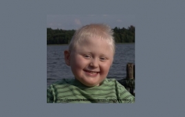 Zdjęcie: 1
