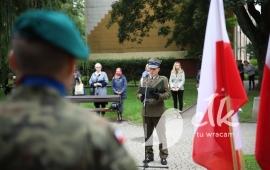 Zdjęcie: 6