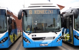 Zdjęcie: 5