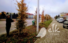 Zdjęcie: 4