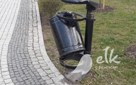 Zdjęcie: 11