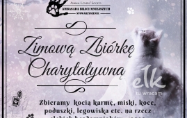 Zdjęcie: 0