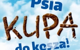 Zdjęcie: 0