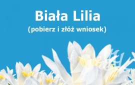 Last days to apply for the White Lily Award