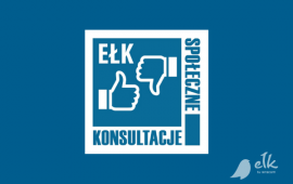 Online conference on public consultation in Elk