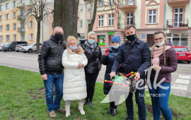 Krokusy w Dniu Trzeźwości