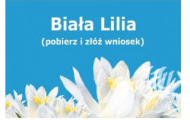 Nabór wniosków o Nagrodę Białej Lilii przedłużony