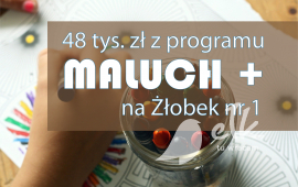 PLN 48,000 per cringe from the government's programme