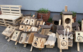 Zdjęcie: 2