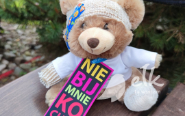 The story of the teddy bear... the child's story...