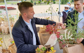 Zdjęcie: 2