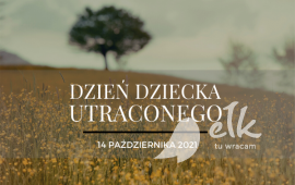 Zdjęcie: 0