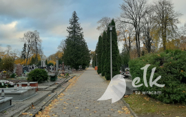 Street lighting maintenance