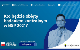 Powszechny Spis Ludności – badanie kontrolne