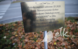 Zdjęcie: 2