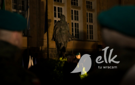 Zdjęcie: 15