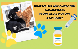 Etichettatura e vaccinazione gratuite di cani e gatti dall'Ucraina