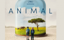 Proiezioni di film nel cinema ECK