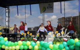 Zdjęcie: 11