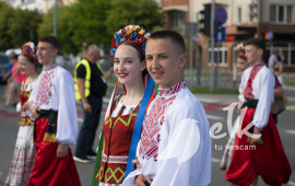 Zdjęcie: 7