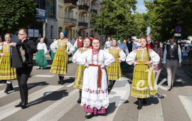 Zdjęcie: 15