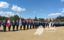 Zdjęcie: 1