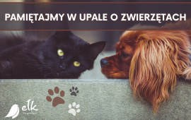 Calore pericoloso anche per gli animali