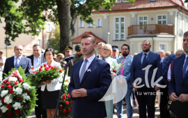 Zdjęcie: 11