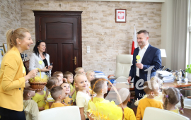 Zdjęcie: 1