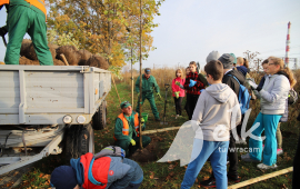 Zdjęcie: 11